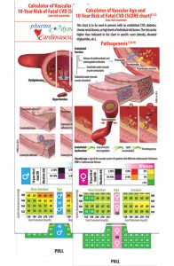 MR-CHOLESTEROL-B---LOW-RISK